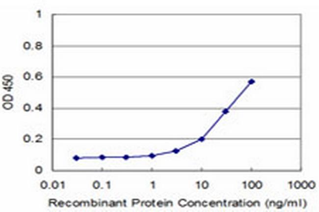 TOPORS Antibody in ELISA (ELISA)