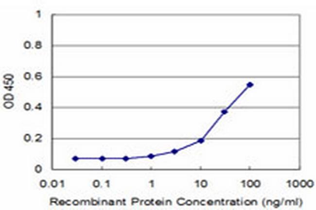 TOPORS Antibody in ELISA (ELISA)