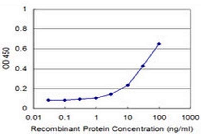 TOPORS Antibody in ELISA (ELISA)