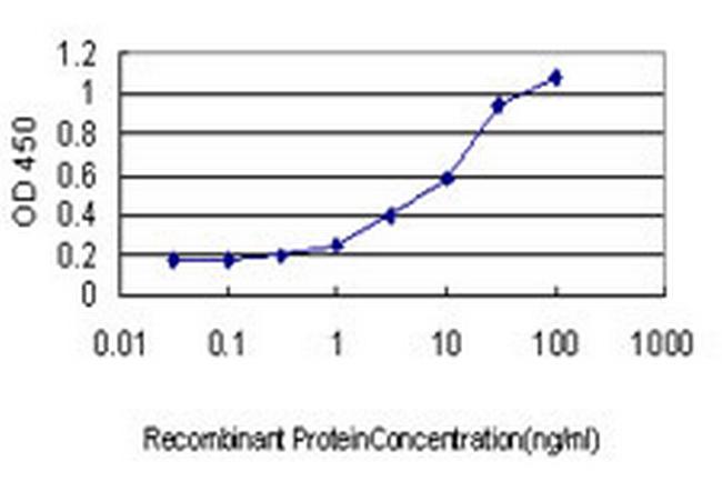 ANGPTL7 Antibody in ELISA (ELISA)