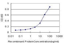 MARCH6 Antibody in ELISA (ELISA)