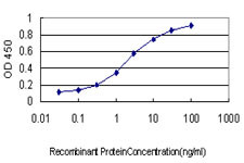 TUBB4B Antibody in ELISA (ELISA)