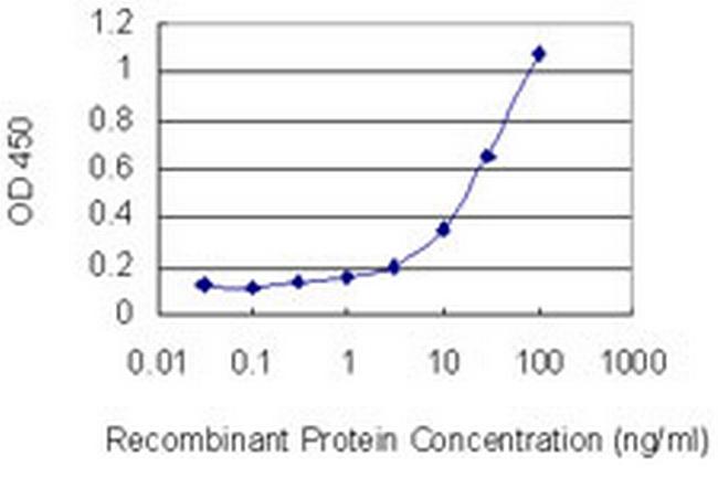 HOXB13 Antibody in ELISA (ELISA)