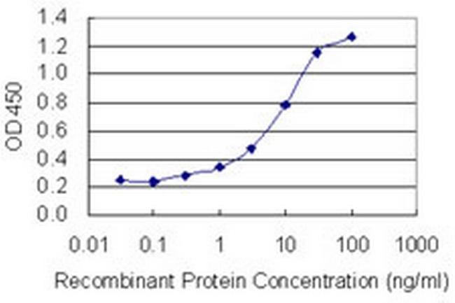 ARFGEF1 Antibody in ELISA (ELISA)