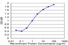 RABAC1 Antibody in ELISA (ELISA)