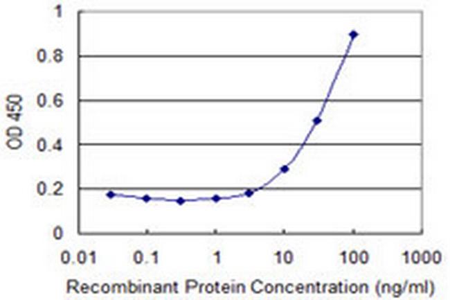 COLEC10 Antibody in ELISA (ELISA)