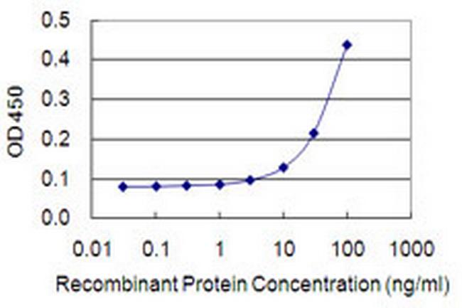 IVNS1ABP Antibody in ELISA (ELISA)