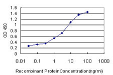 AP4B1 Antibody in ELISA (ELISA)