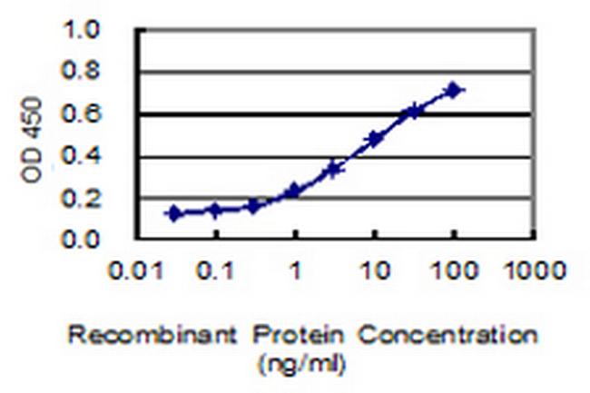 CHL1 Antibody in ELISA (ELISA)