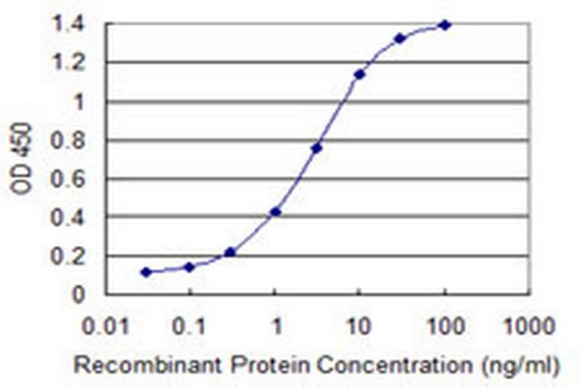 ZBTB6 Antibody in ELISA (ELISA)