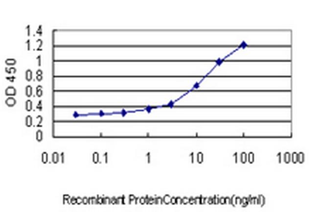 GADD45G Antibody in ELISA (ELISA)
