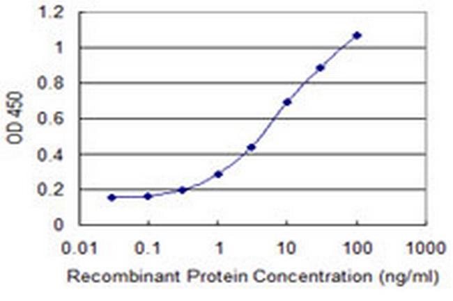 GADD45G Antibody in ELISA (ELISA)