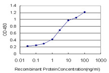 ANXA10 Antibody in ELISA (ELISA)