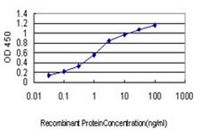 NLGN1 Antibody in ELISA (ELISA)
