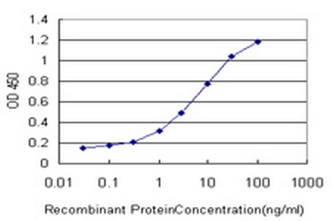 MMRN1 Antibody in ELISA (ELISA)