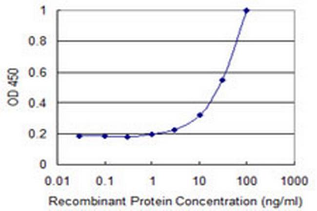 MMRN1 Antibody in ELISA (ELISA)