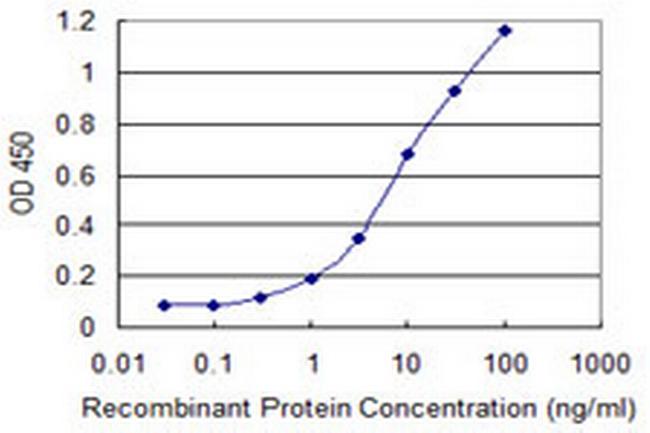 SEPHS1 Antibody in ELISA (ELISA)
