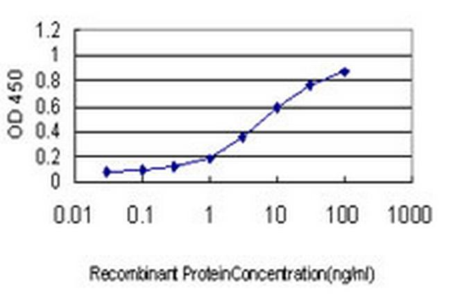 NMNAT2 Antibody in ELISA (ELISA)
