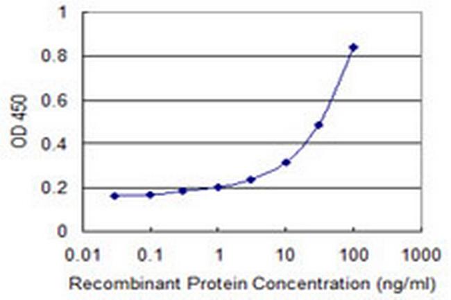 TNRC6B Antibody in ELISA (ELISA)