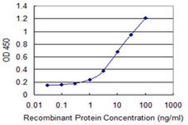 NCDN Antibody in ELISA (ELISA)