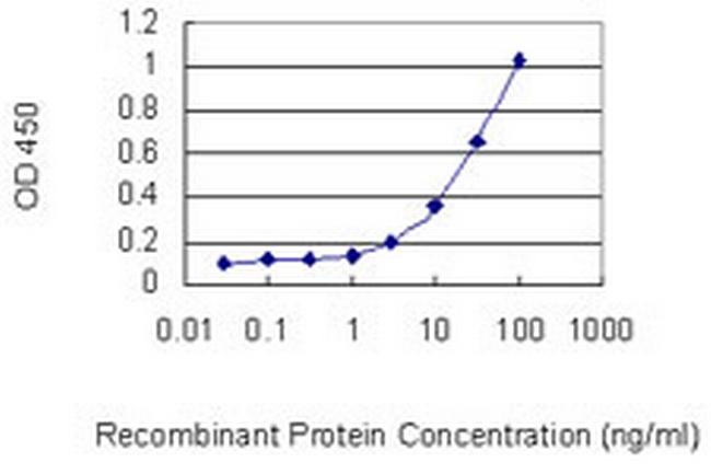 FBXO28 Antibody in ELISA (ELISA)