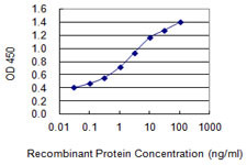 PPP1R13B Antibody in ELISA (ELISA)