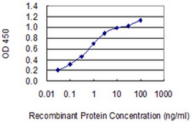 ARHGEF18 Antibody in ELISA (ELISA)