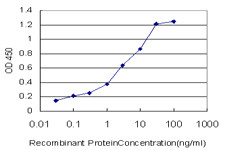 SIRT1 Antibody in ELISA (ELISA)