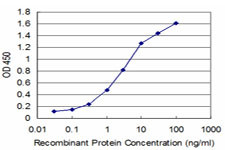 HEY1 Antibody in ELISA (ELISA)