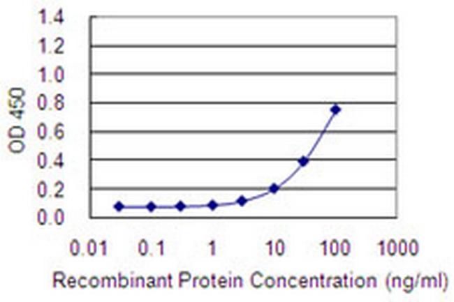 HYAL4 Antibody in ELISA (ELISA)