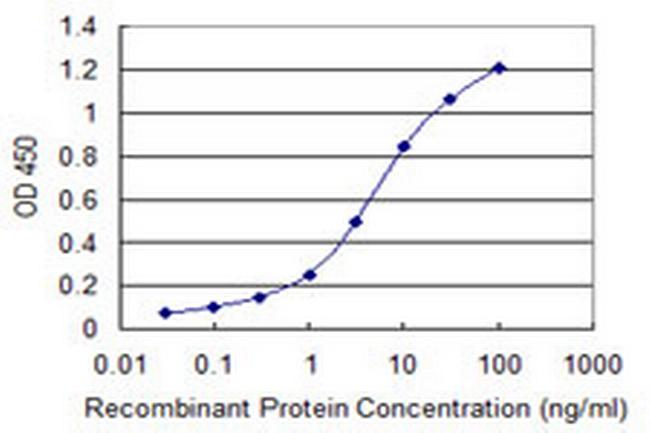 ORC3L Antibody in ELISA (ELISA)