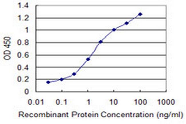 ARFIP2 Antibody in ELISA (ELISA)
