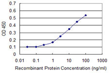 PRKD3 Antibody in ELISA (ELISA)
