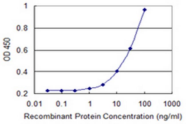 PPIL2 Antibody in ELISA (ELISA)