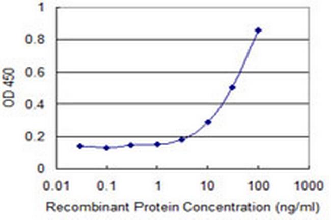 LMOD1 Antibody in ELISA (ELISA)
