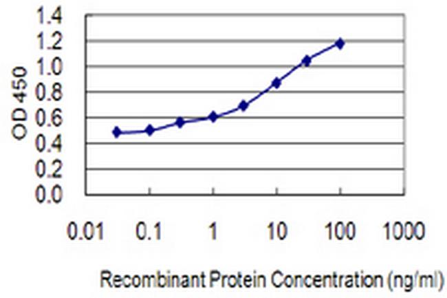LSM4 Antibody in ELISA (ELISA)
