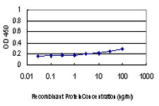 CHMP2B Antibody in ELISA (ELISA)
