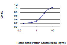 CCDC69 Antibody in ELISA (ELISA)
