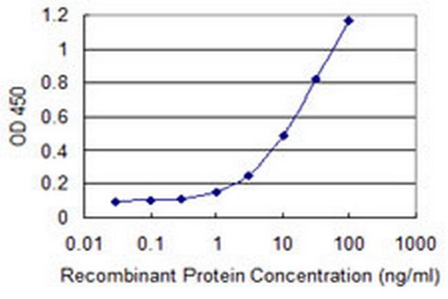 SHFM3P1 Antibody in ELISA (ELISA)