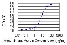 FOXP1 Antibody in ELISA (ELISA)