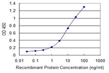 CACYBP Antibody in ELISA (ELISA)