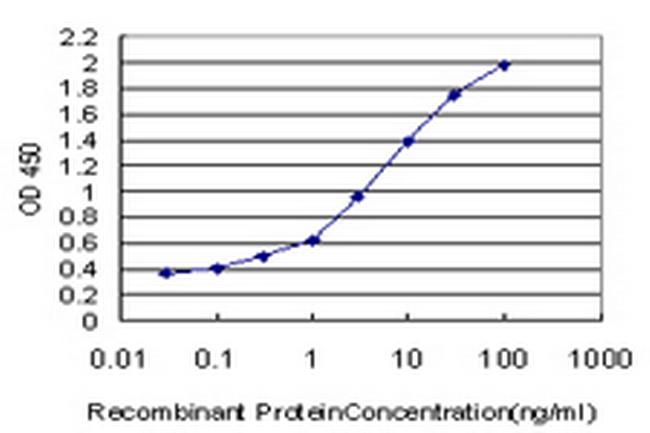 IL17B Antibody in ELISA (ELISA)