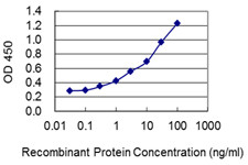 LSM3 Antibody in ELISA (ELISA)