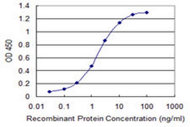 CNOT7 Antibody in ELISA (ELISA)