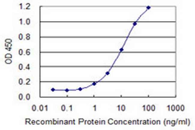 STRN3 Antibody in ELISA (ELISA)