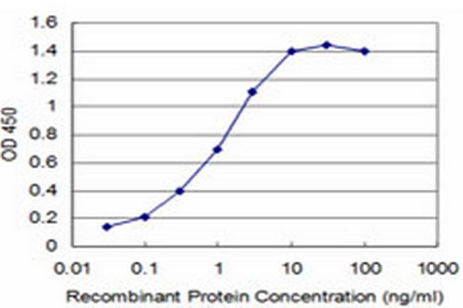 TLX3 Antibody in ELISA (ELISA)
