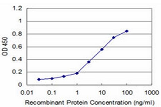 RAX Antibody in ELISA (ELISA)