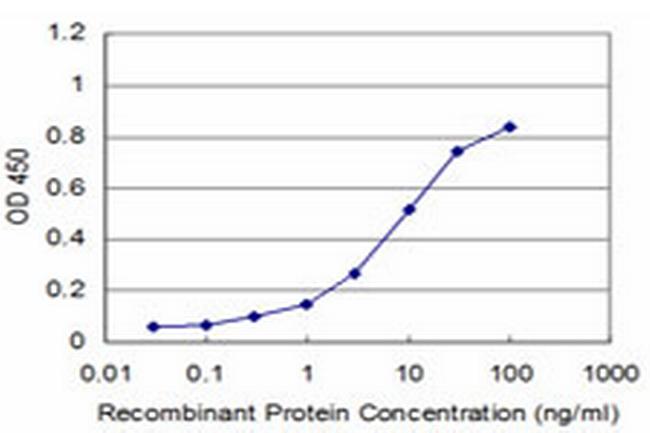 RAX Antibody in ELISA (ELISA)