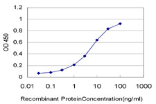 CTAG2 Antibody in ELISA (ELISA)