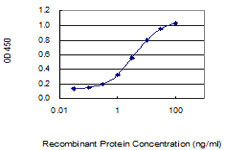RRP15 Antibody in ELISA (ELISA)